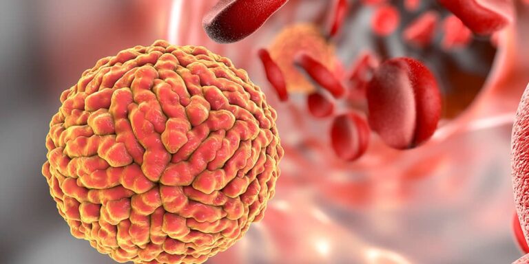 virus-zika-embarazo-2